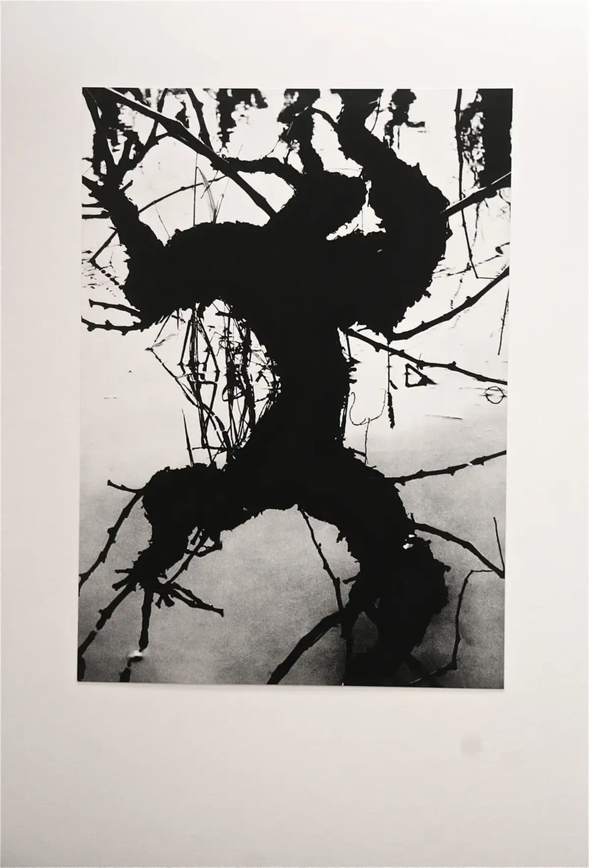 Exposition La Camargue, un autre monde