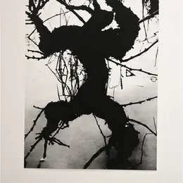 Exposition La Camargue, un autre monde