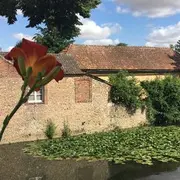 Exposition : La Cité des oiseaux d'Olivier Thuault