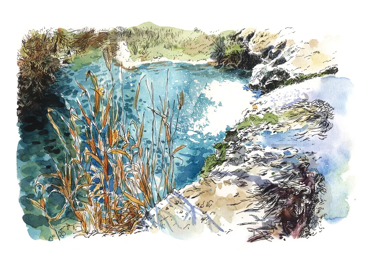 Exposition « La Dourbie, Exploration Sensible D’une Rivière »