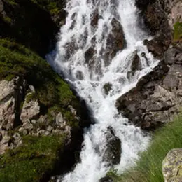 Exposition : La magie de l'eau