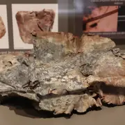 Exposition: la magie gallo-romaine