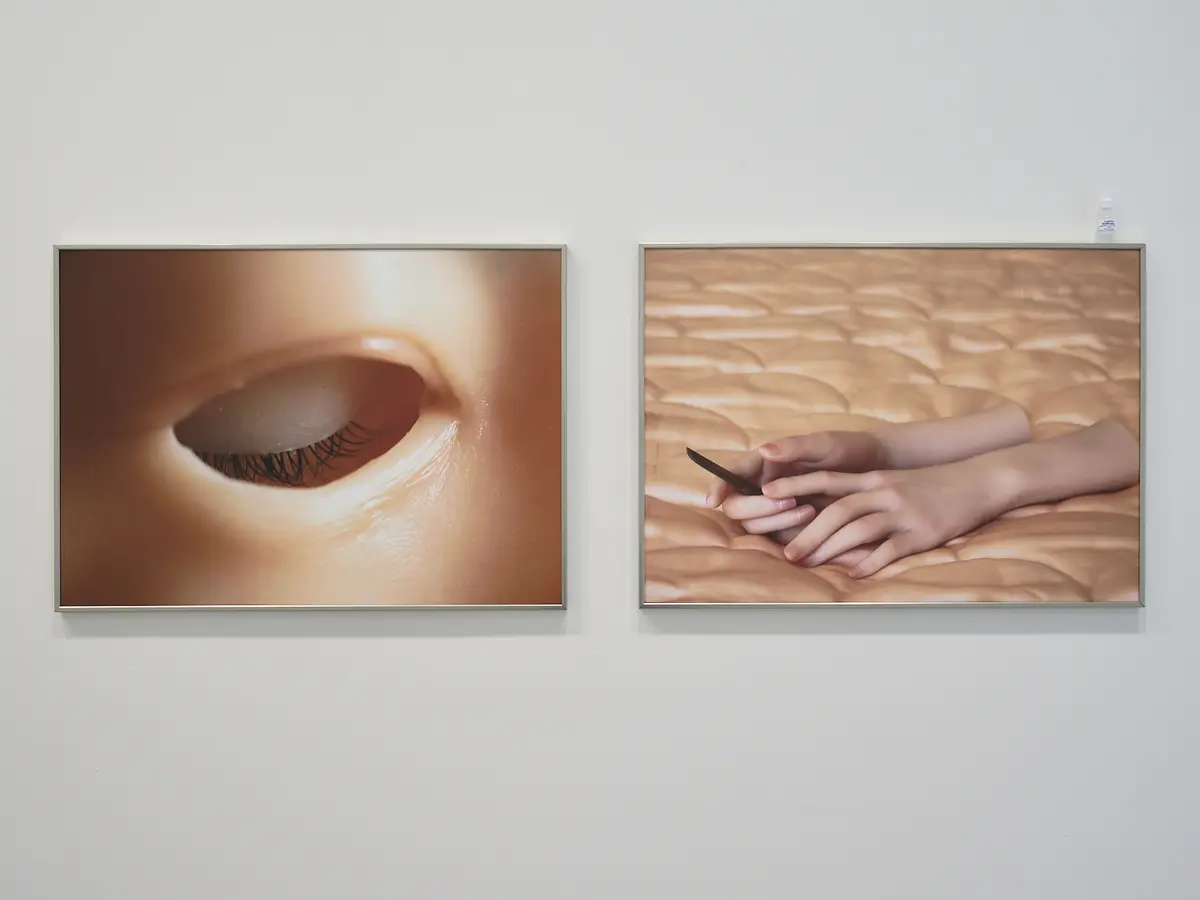 Exposition • là où les organes oragent