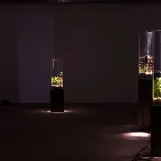 Exposition La Vague irrésolue - Clément Davout et Léo Fourdrinier (en partenariat avec le festival Interstice)