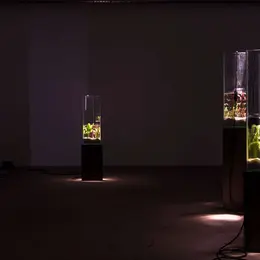 Exposition La Vague irrésolue - Clément Davout et Léo Fourdrinier (en partenariat avec le festival Interstice)