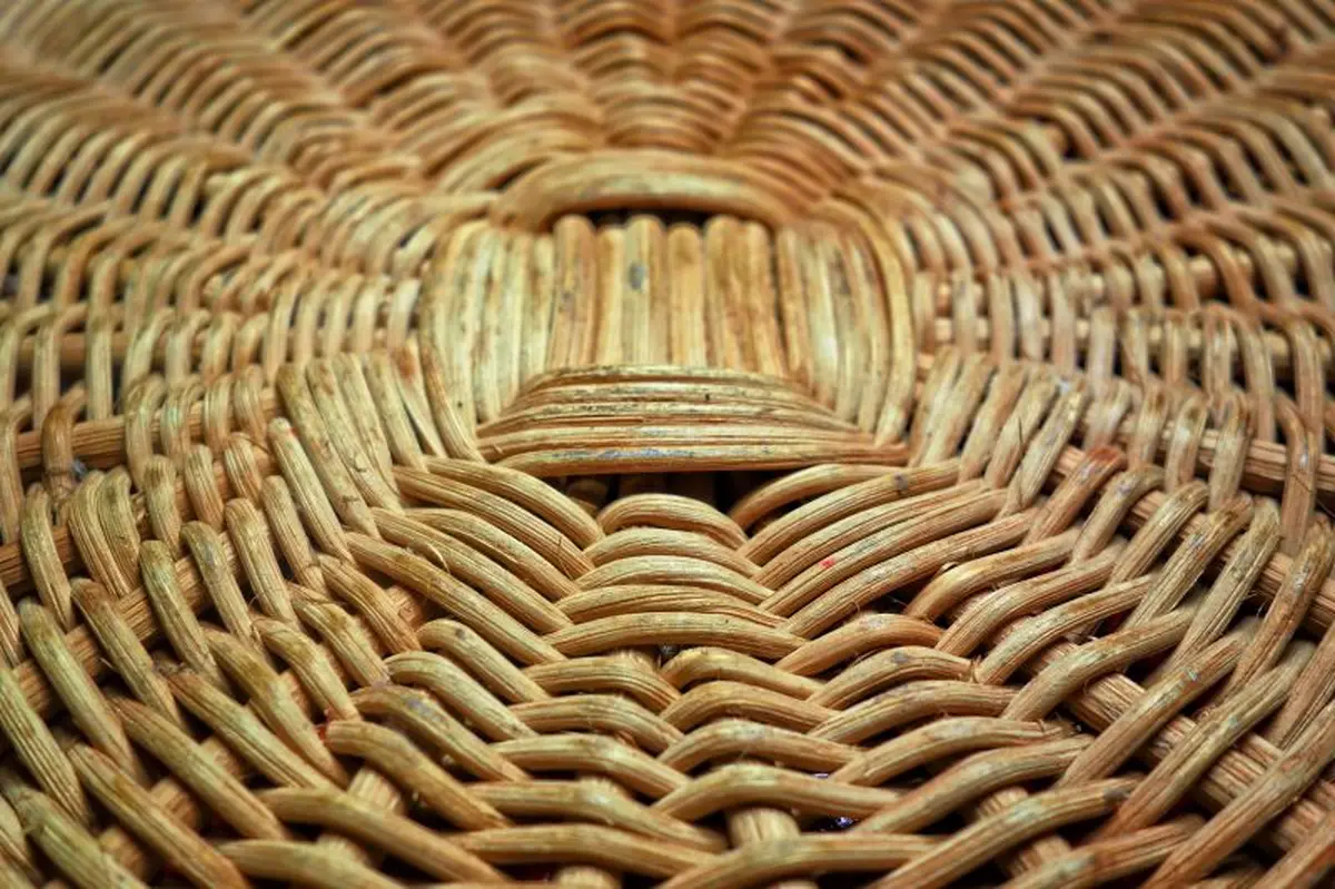 Exposition La Vitrine Rouffignacoise