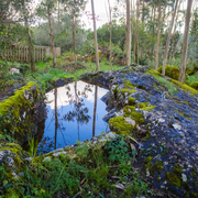 Exposition Laha, le bon génie orthois