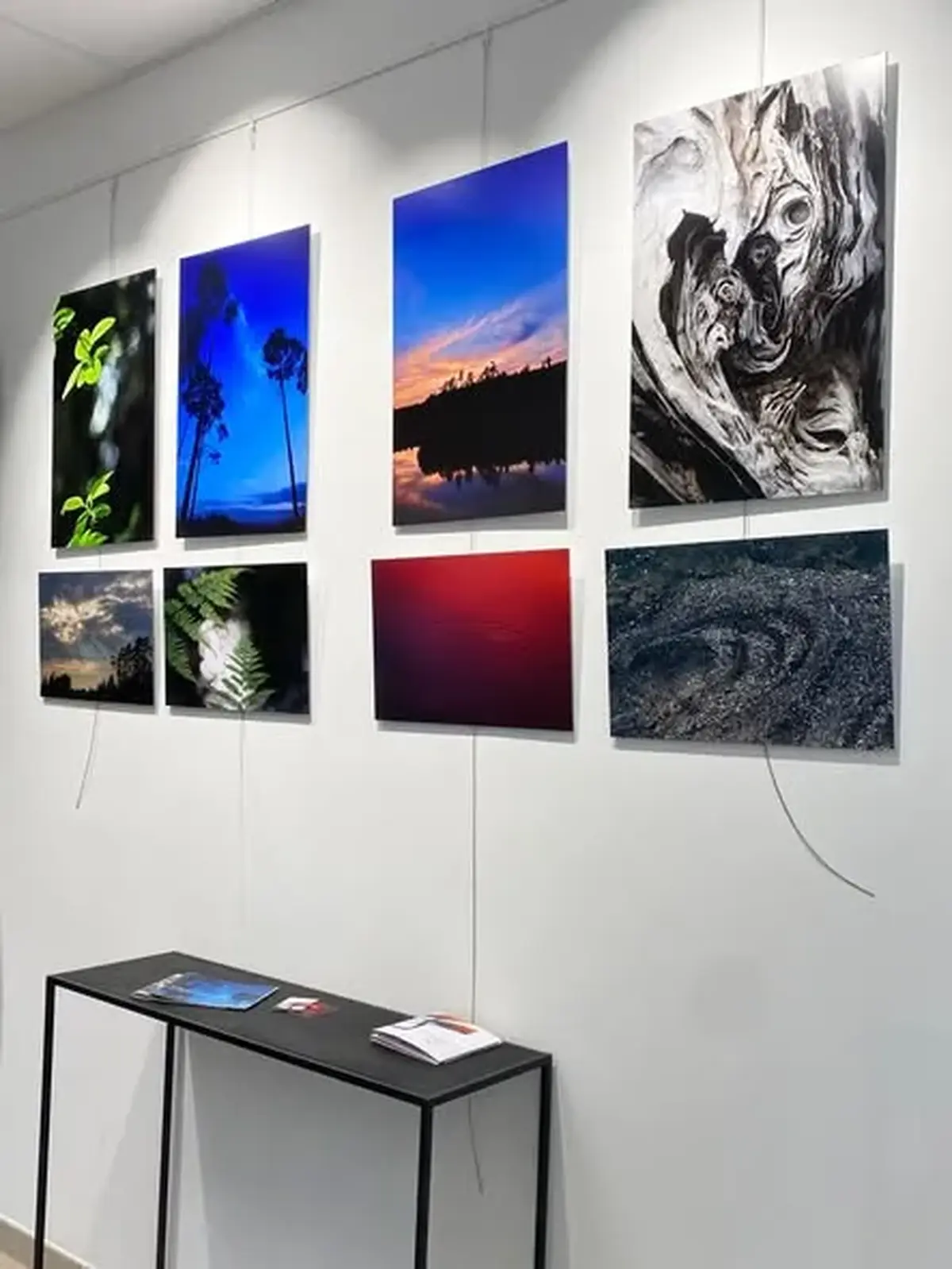 Exposition Langages de la Nature  à la boutique Arti'Sens