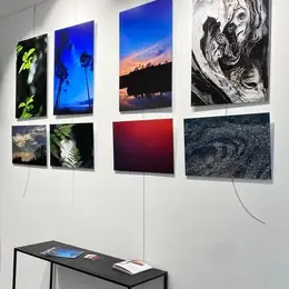 Exposition Langages de la Nature  à la boutique Arti'Sens