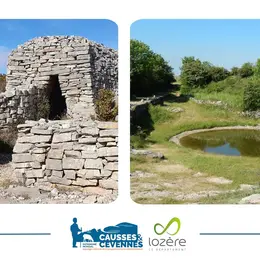 Exposition Lavognes Et Cazelles