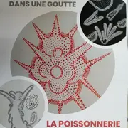 Exposition - Le Cosmos dans une goutte