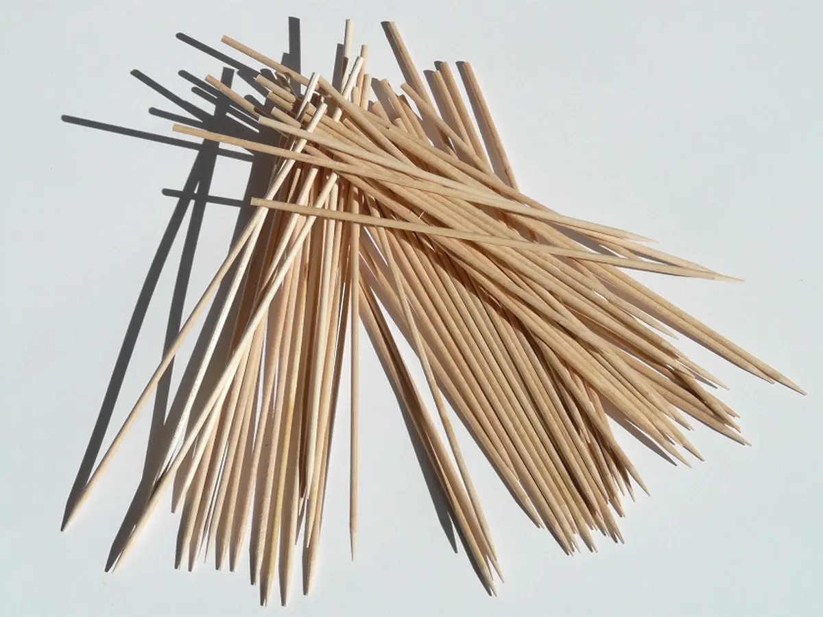 Exposition: Le grand Mikado de la pensée humaine
