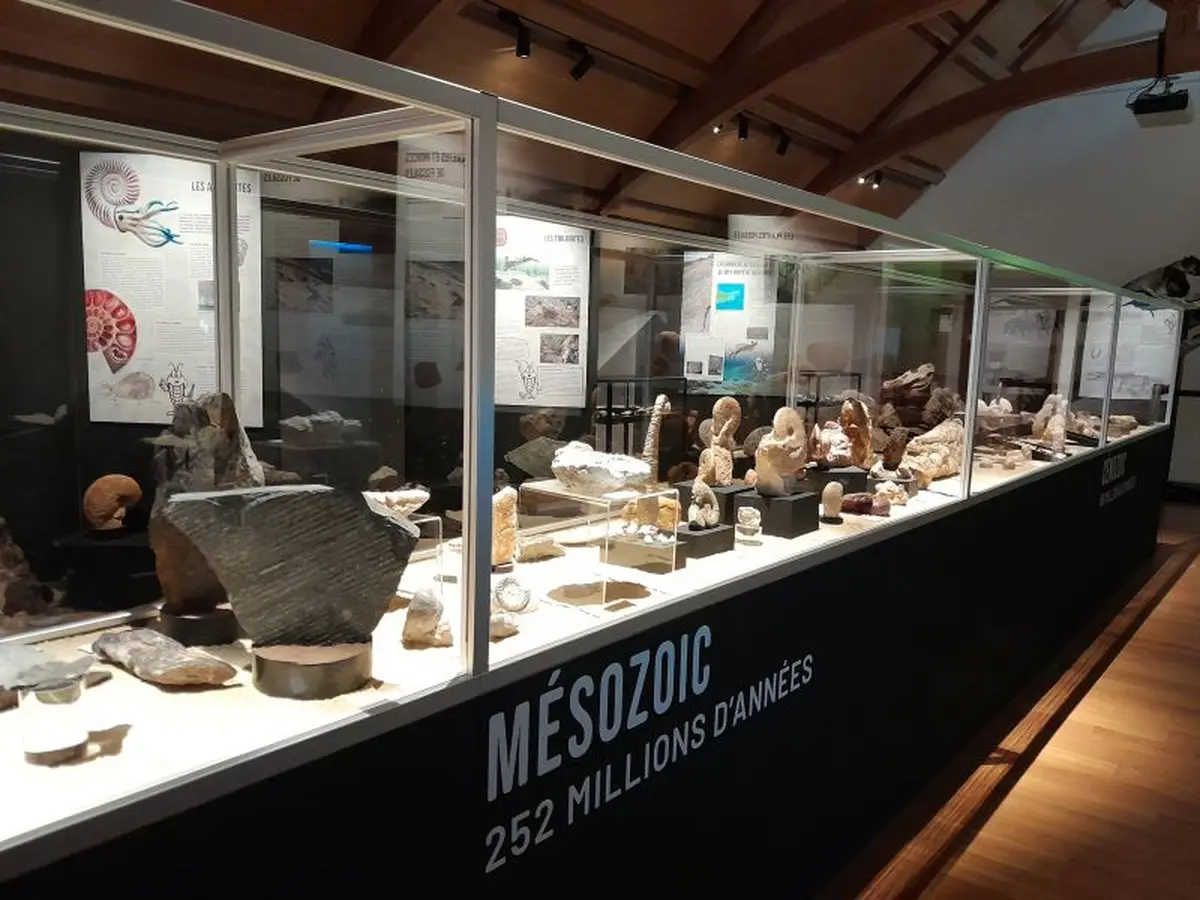 Exposition Le monde fascinant des fossiles