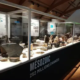 Exposition Le monde fascinant des fossiles