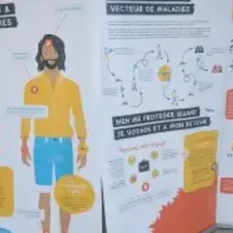 Exposition - Le moustique tigre - Bibliothèque Francophone Multimédia Limoges