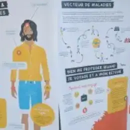 Exposition - Le moustique tigre - Bibliothèque Francophone Multimédia Limoges