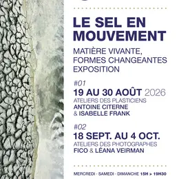 Exposition : le sel en mouvement
