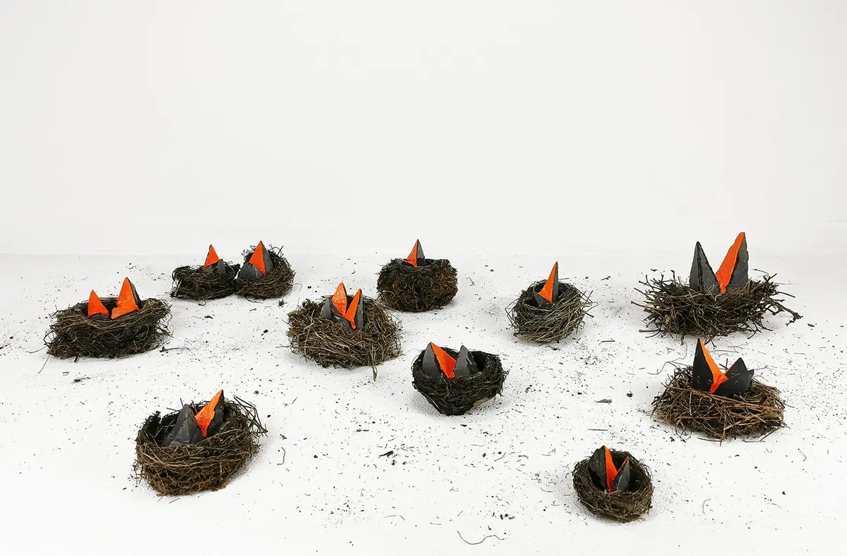 Exposition « Les Carnivores Et Les Oiseaux » De Pierre Fauret