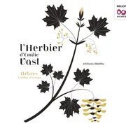 Exposition - Les herbiers d'Emilie Vast