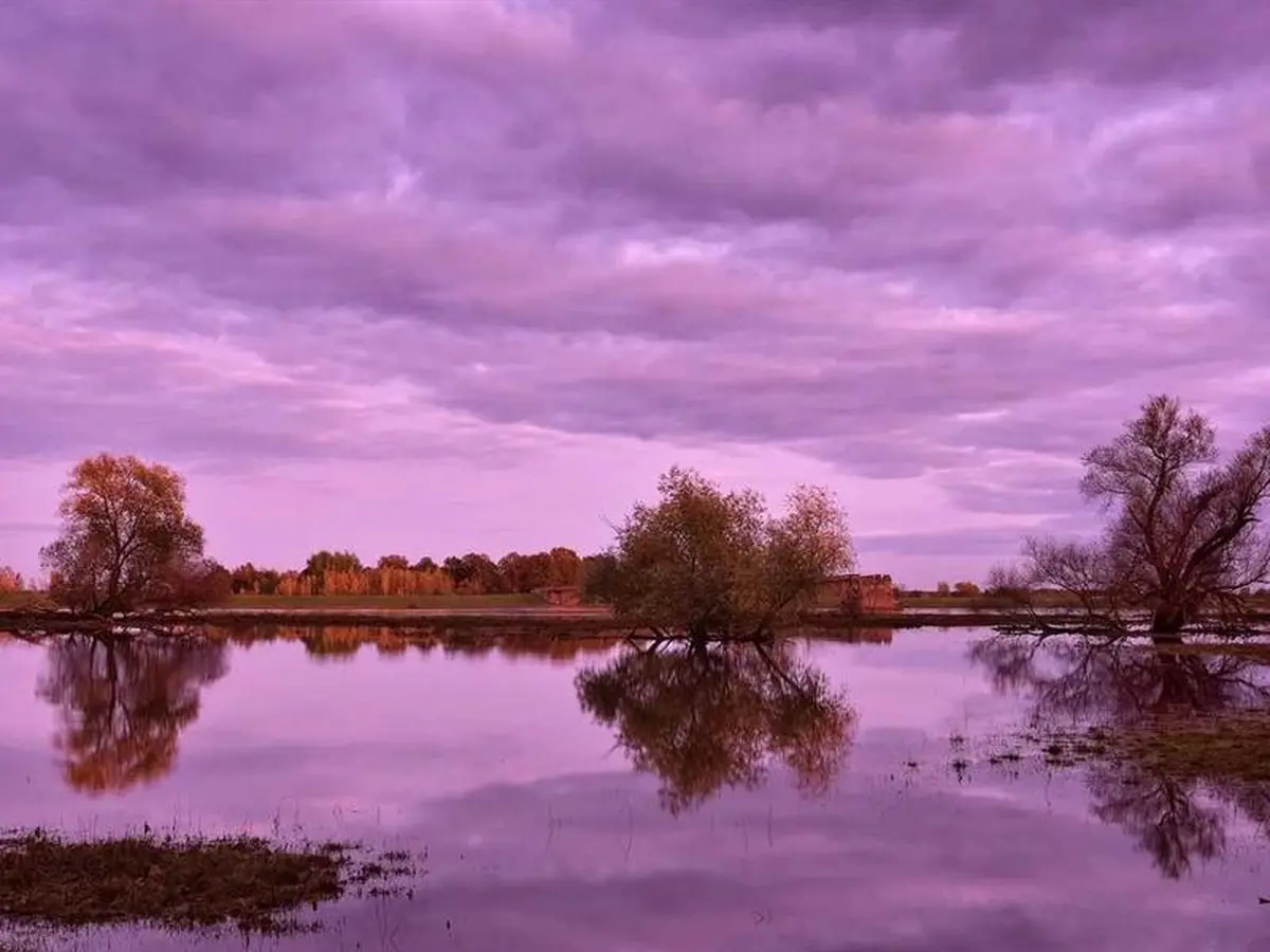 Exposition - les inondations impacts et bonnes pratiques