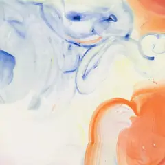 Exposition Les mues éternelles au Frac Auvergne de Clermont-Ferrand