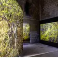 Exposition Les pas du silence