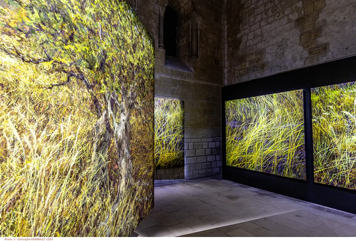 Exposition Les pas du silence