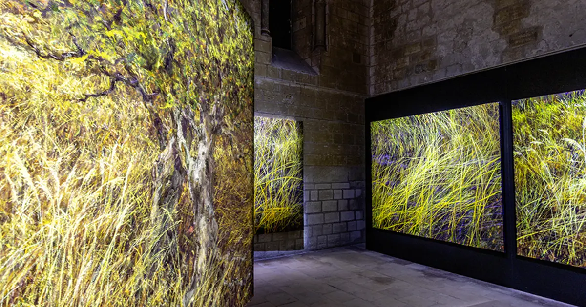 Exposition Les pas du silence