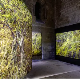 Exposition Les pas du silence