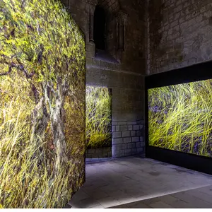 Exposition Les pas du silence