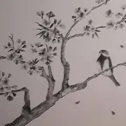 Exposition - Les sumi-e de Lorine Caumartin