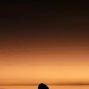 Exposition Les Yeux sur le monde