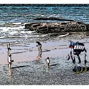 Exposition Littoral Vista  Johann Van Aerden