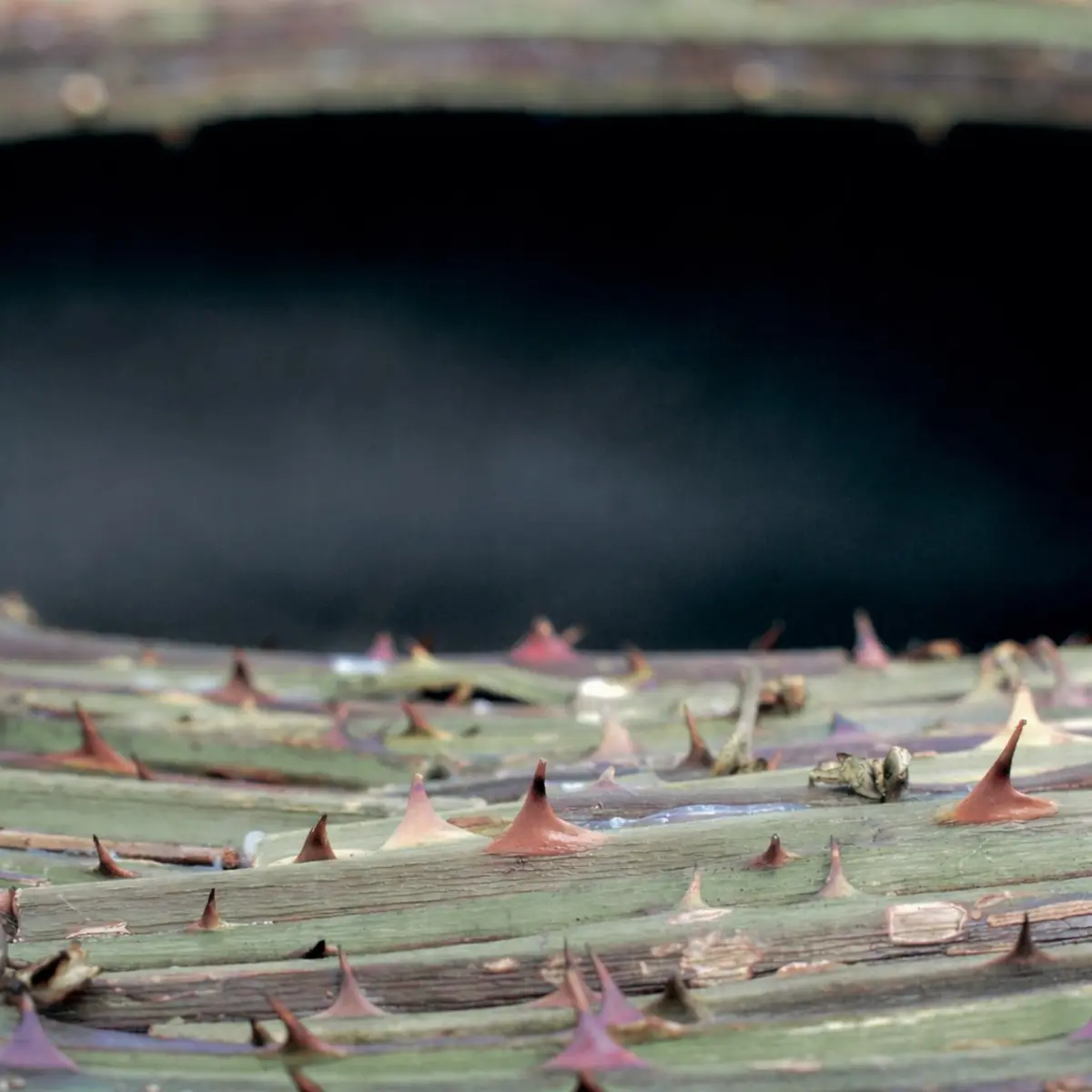 Exposition Lucioles Paysannes de Guillaume de la Follye de Joux