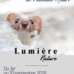 Exposition Lumière Nature