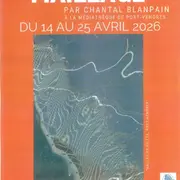 Exposition Maillage De Chantal Blanpain A La Mediatheque