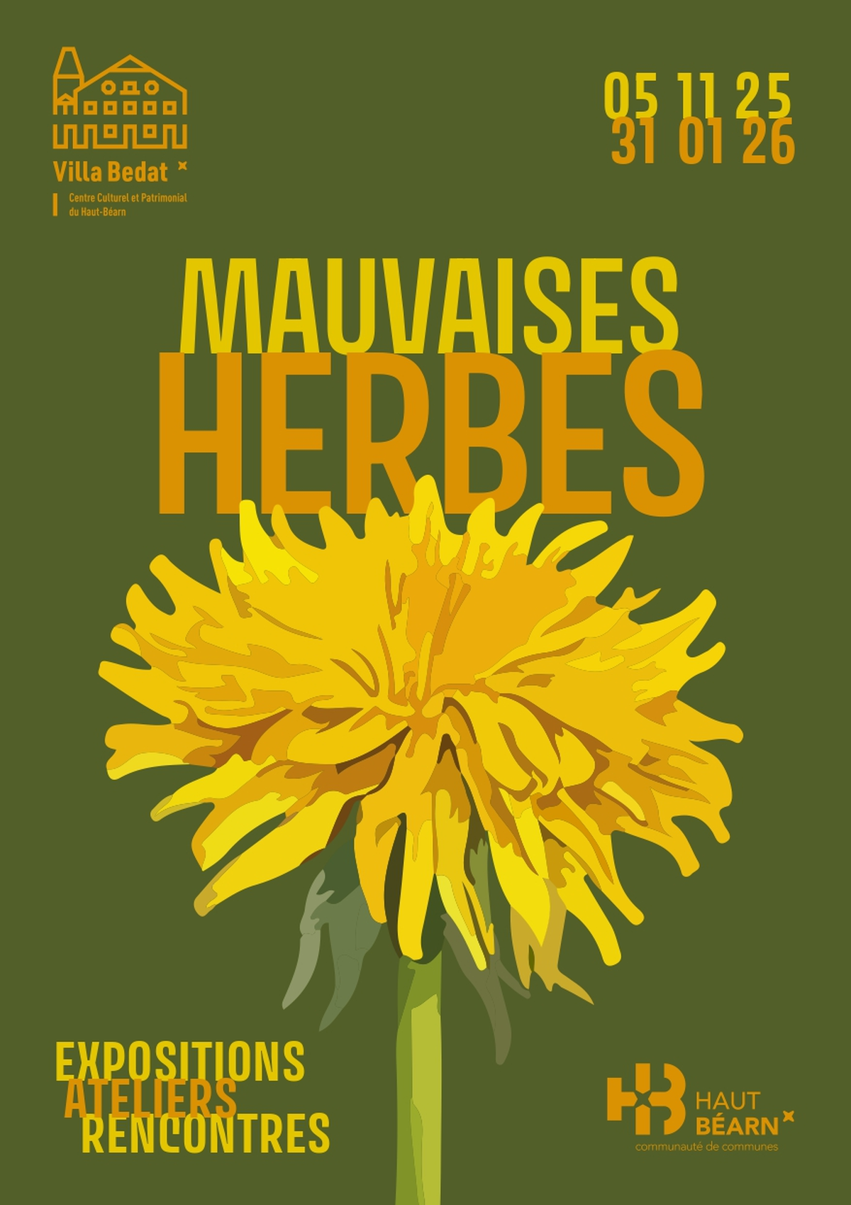Exposition Mauvaises herbes, vraies pionnières : ode aux plantes rudérales !