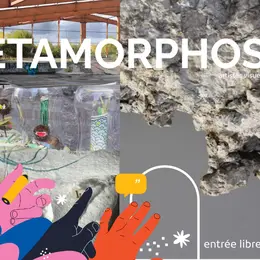 Exposition Métamorphoses