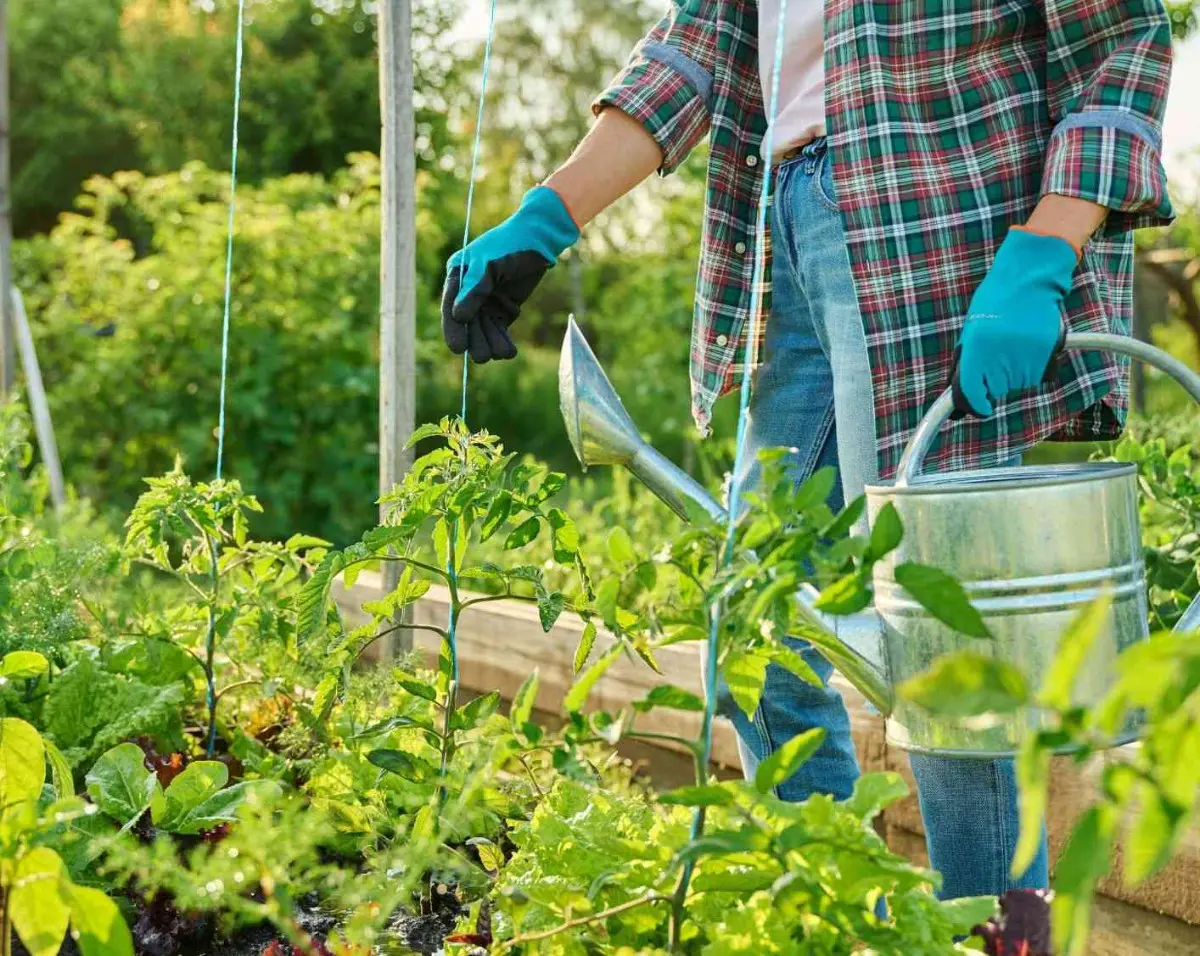 Exposition Mission potager