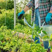 Exposition Mission potager