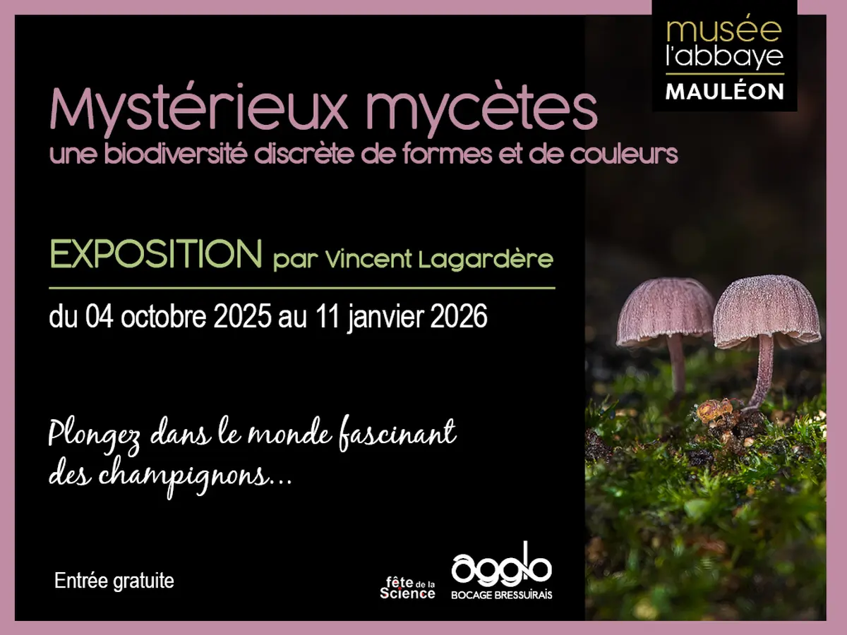 Exposition - Mystérieux mycètes, une biodiversité discrète de formes et de couleurs