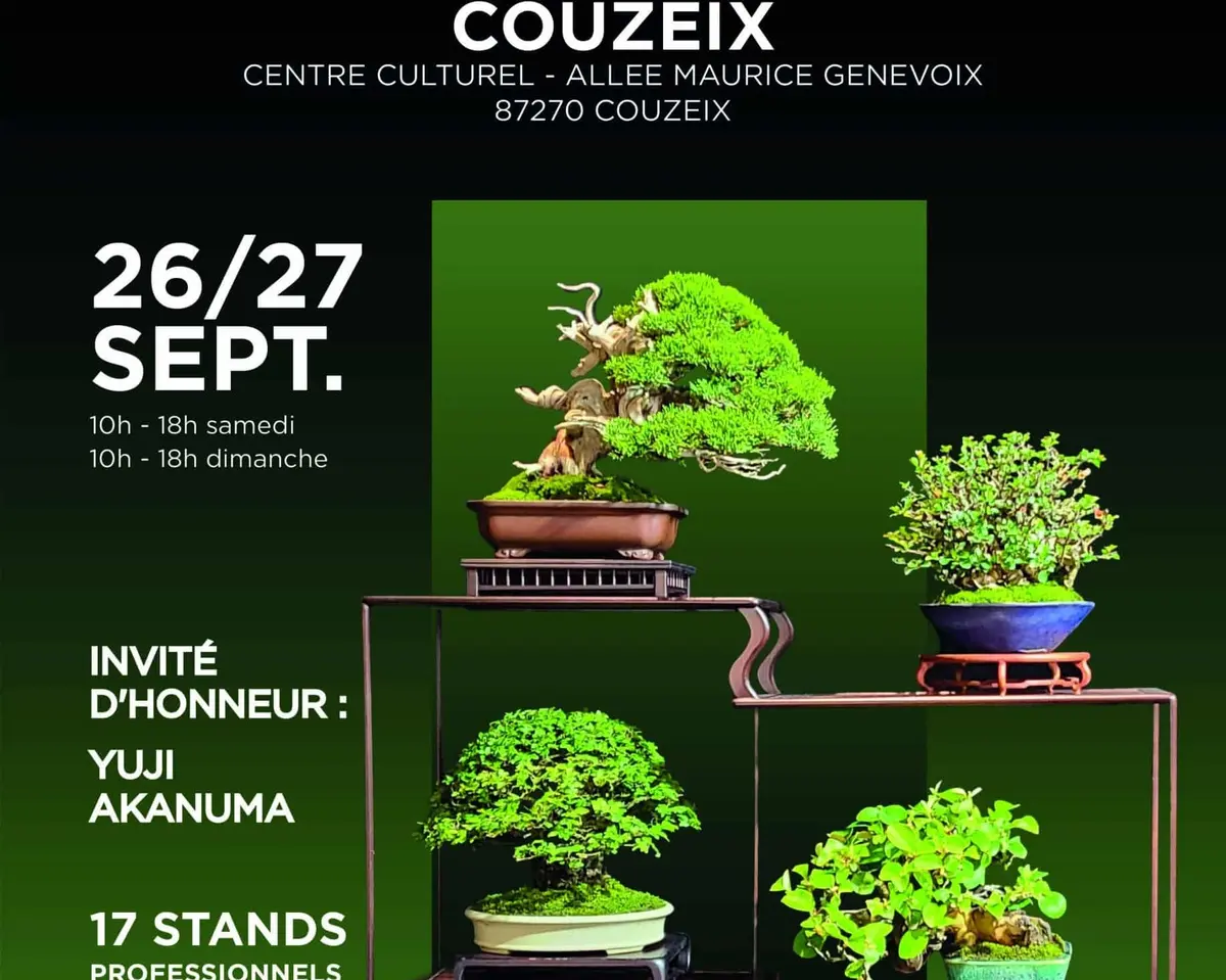 Exposition nationale de bonsaï : Couzeix accueille un rendez-vous d’exception