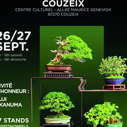Exposition nationale de bonsaï : Couzeix accueille un rendez-vous d’exception