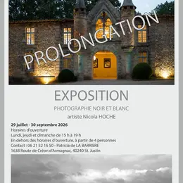 Exposition : Nicola HOCHE