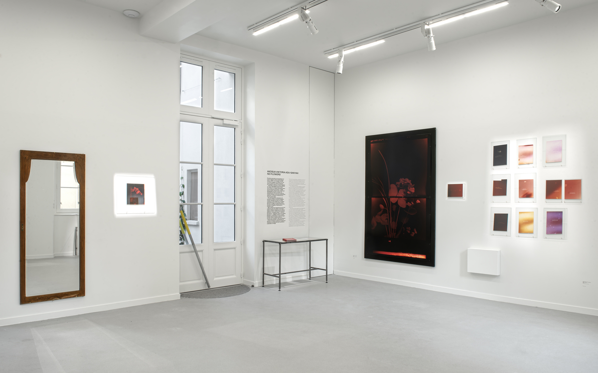 Akosua Viktoria Adu-Sanyah, no flowers. Photo Tristan Savoy - Centre culturel suisse Paris