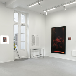 Exposition : no flowers d'Akosua Viktoria Adu-Sanyah
