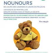 Exposition « Nounours : de l'ours des cavernes à l'ours en peluche» - Médiathèque A. Camus
