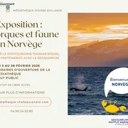Exposition Orques et faune en Norvège