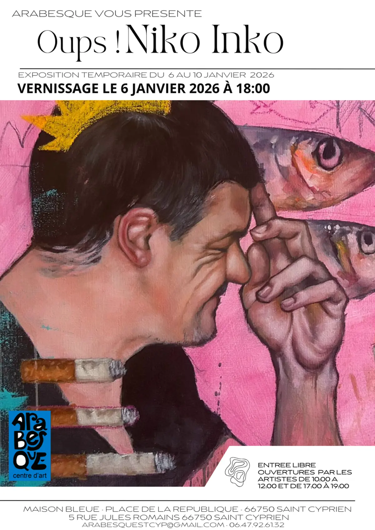 Exposition Oups Par Niko Inko Chez Arabesque