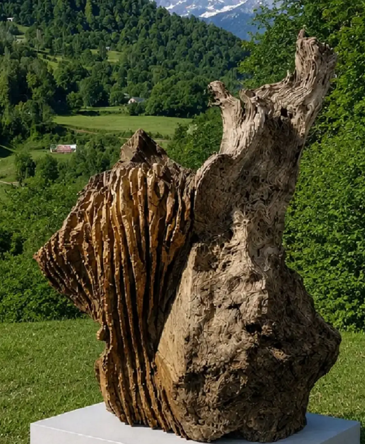 Exposition ouvrages du vivant